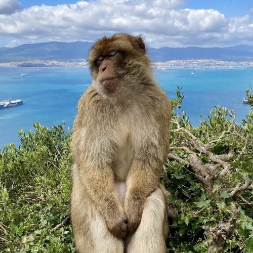 Bitche$WhoGotBitche$