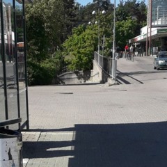 The future of a caterpillar