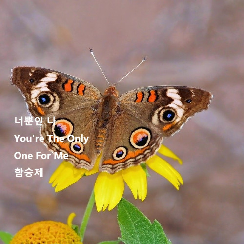 너뿐인 나(You're The Only One For Me)