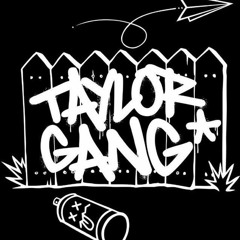 Wiz Khalifa - Why Not Not Why [Official Music Video] taylor gang my gang