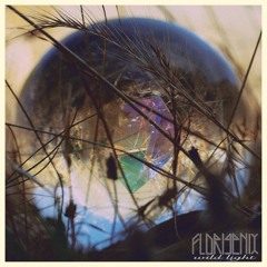 Florigenix -  Awaken Genie In Us