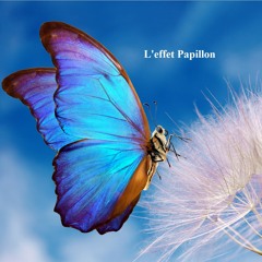 RFL101 L'Effet Papillon Par François Meynent & Thierry FLamment 25 Nov