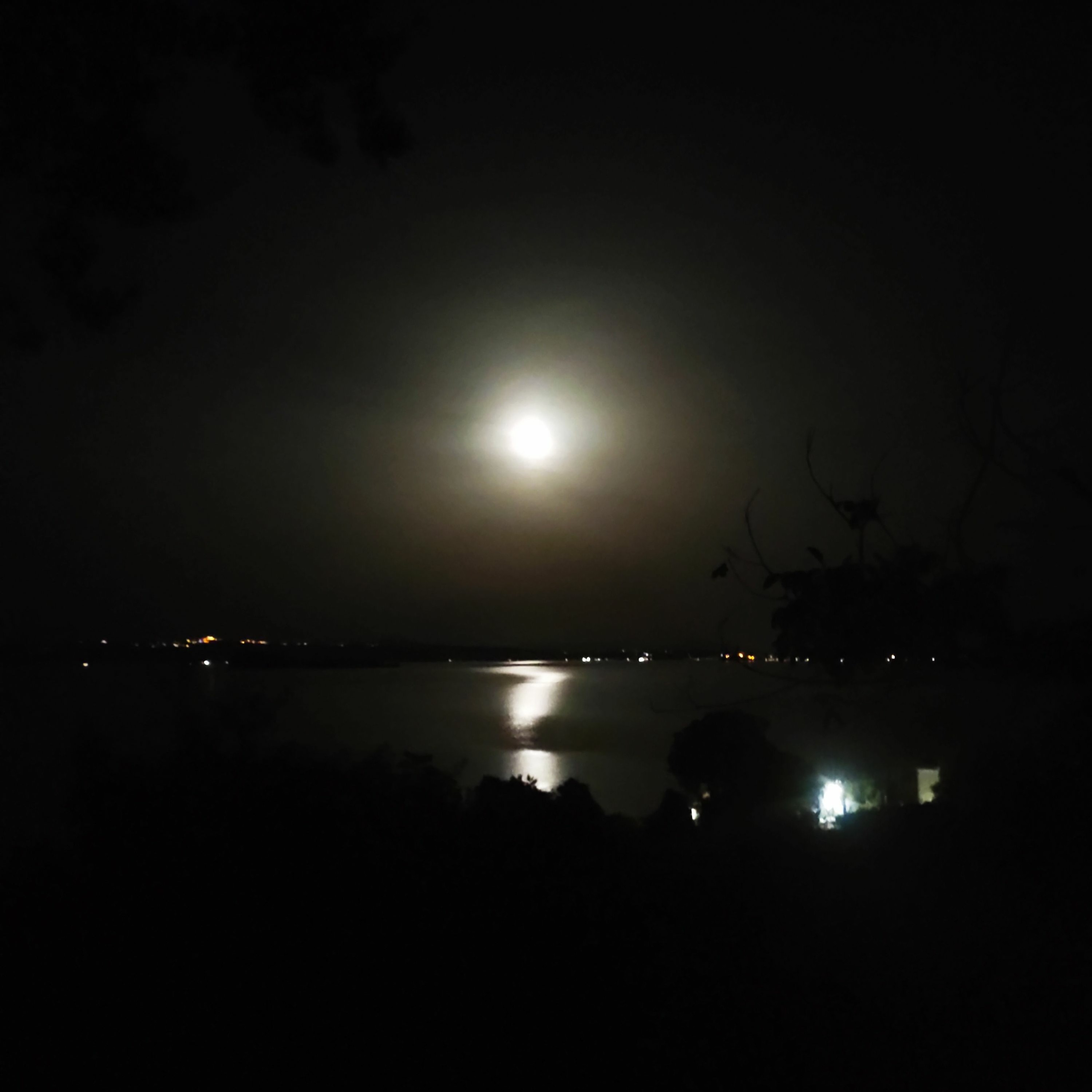 Full Moon At Francis (Live Mix) episode artwork