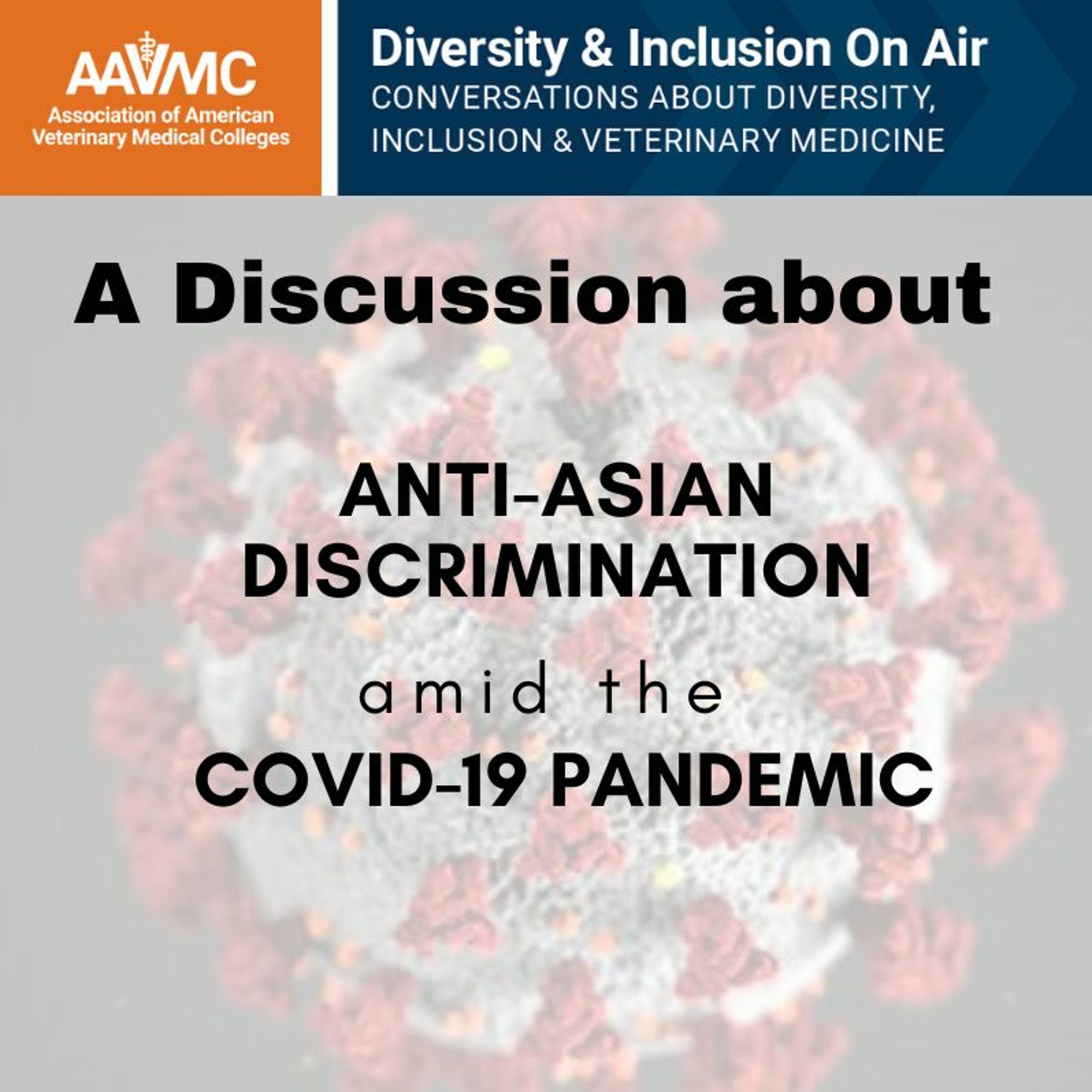 AAVMC\'s On Air: Conversations about Issues in Veterinary Medicine