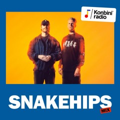 Good Vibes Only Mix : Snakehips