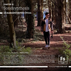 Chapter 18 | Sonosynthesis