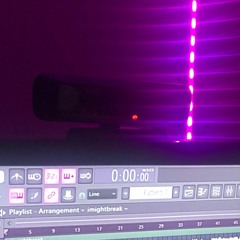 The Webcam Song 2