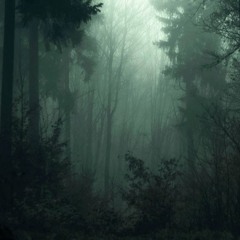 Forest Tales