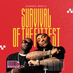 Mobb Deep - Survival Of The Fittest (Gaende Remix) [FREE DL]