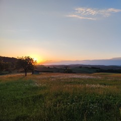 DJ set - ORGANIC 2 (CADENCE) 15.06.25