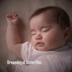 Starlight Dreams