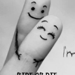 Ride or Die (feat Swiss Fex)