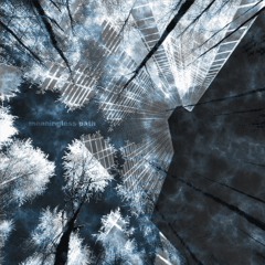 Meaningless Path