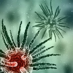Cellular Detox Initiation