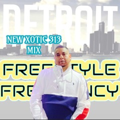 313 FREESTYLE FREQUENCY(2) 2