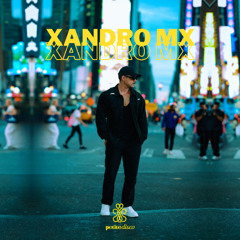 Session # 031 Petite Disco, New York, USA 25.04.25