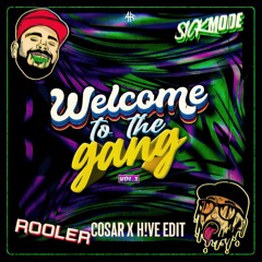 ROOLER & SICKMODE -Let the Bass Kick ( Cosar x H!VE EDIT )
