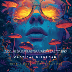 Caotical Disordah - You Gonna Check Me (Original Mix)
