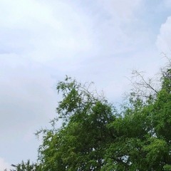 سيأتي الضياءُ برغمِ الغيُوم - أنس سلطان 🍃