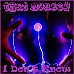 That Monkey - I Don't Know