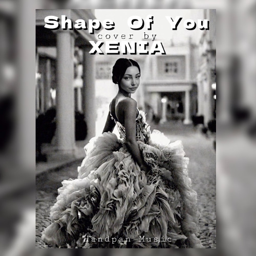 Shape of you Handpan Music Cover By Xenia