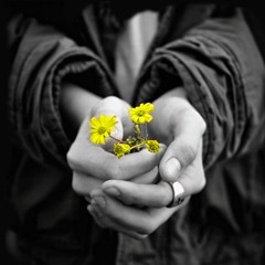 FraZeo -Única (Ft.NC)