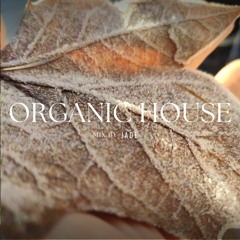 Jade - Organic House Mix December
