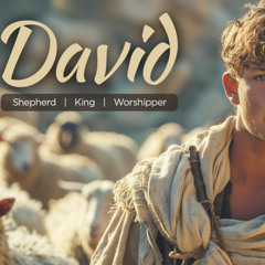 David 1 - Private Power