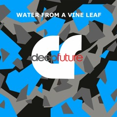 Water From A Vine Leaf - Deep Future Remix