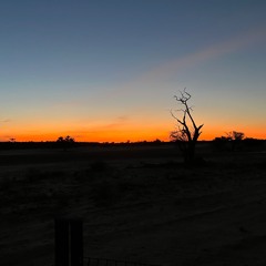 Listen to the Silence