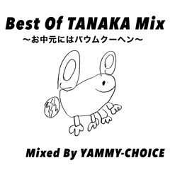 Best Of TANAKA Mix~お中元にはバウムクーヘン〜Mixed by YAMMIE-CHOICE