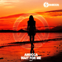 Amiicca - Wait for Me
