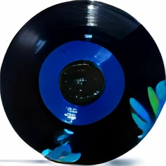 [Set] House #1 | Progressive, Acid, Dance... [123-127bpm]