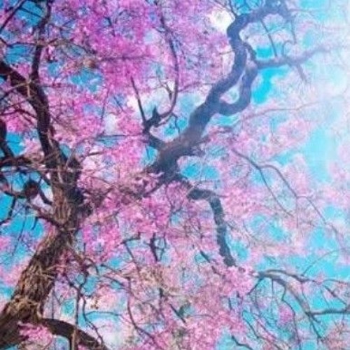 A Brighter Future - Resonance Hub (slowed + reverb)