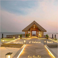 Daydream of Elafonisi Beach