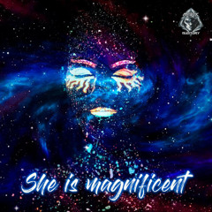 Mr. Ivex & Captain Core - Singularity