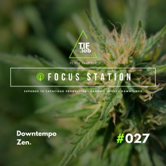Downtempo Zen #027 - Melodies for the Mind | 🛋️ Deep Focus dj mix session 慢摇