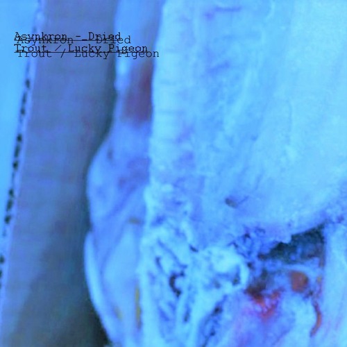 Asynkron - Dried Trouts