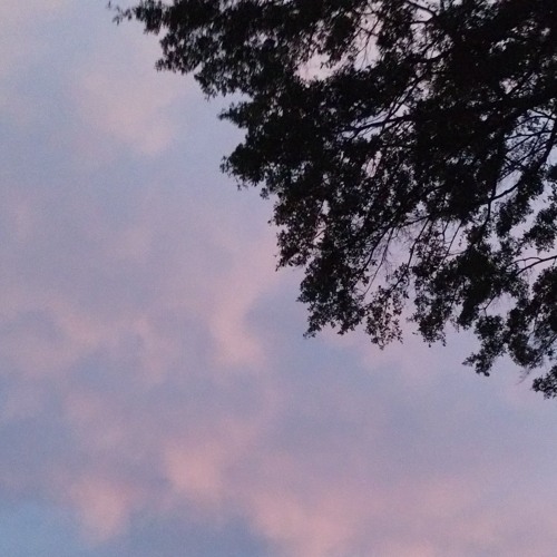 Steve Alec Benjamin Cover