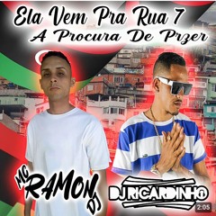 ELA VEM PRA RUA 7 A PROCURA DE PRAZER - BAILE DA LIBIA - DJ RICARDINHO & MC RAMON