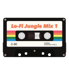 Lo fi Jungle Mix 1