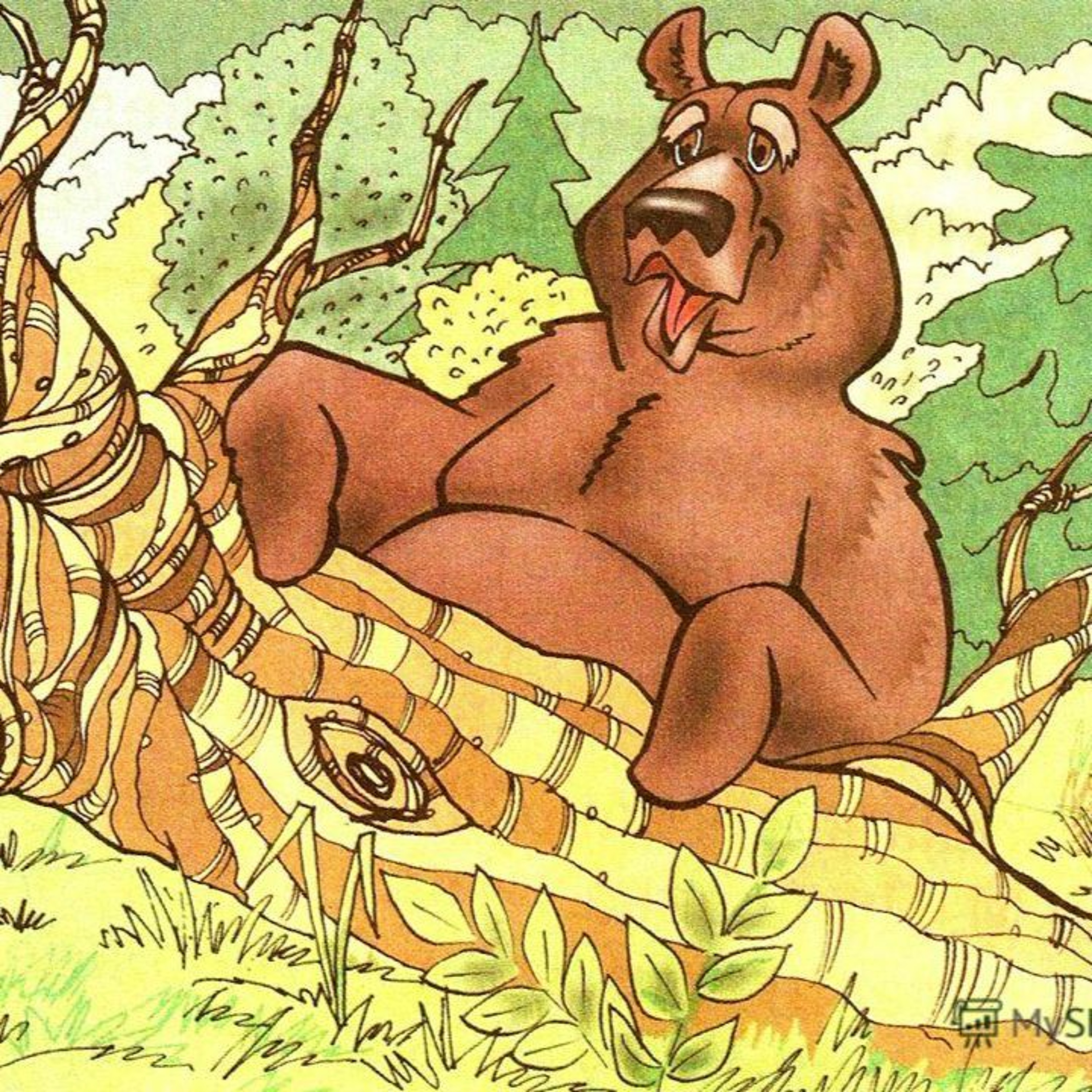 Украсть медведя. Иллюстрации к рассказу Пришвина медведь.