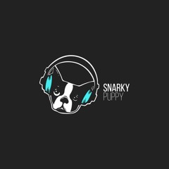 Snarky Puppy - Flood