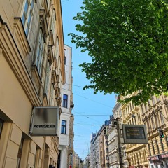 Vienna Etudes No. 3, by Martik &  Zoya Zakarian