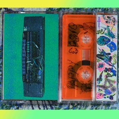 TXP50.mxtp.002