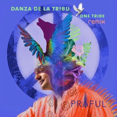 Danza De La Tribu - One Tribe Remix