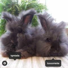 s4ngre en los pies x torrente prod. tada & torrente #deitiesonly