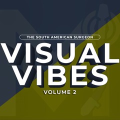 Visual Vibes Volume 2 (Reggae)