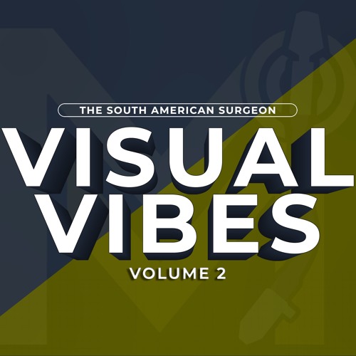 Visual Vibes Volume 2 (Reggae)