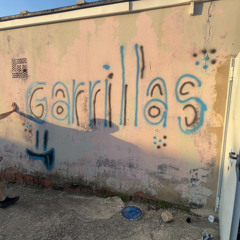 ESENCIA GARRILLA 🎧